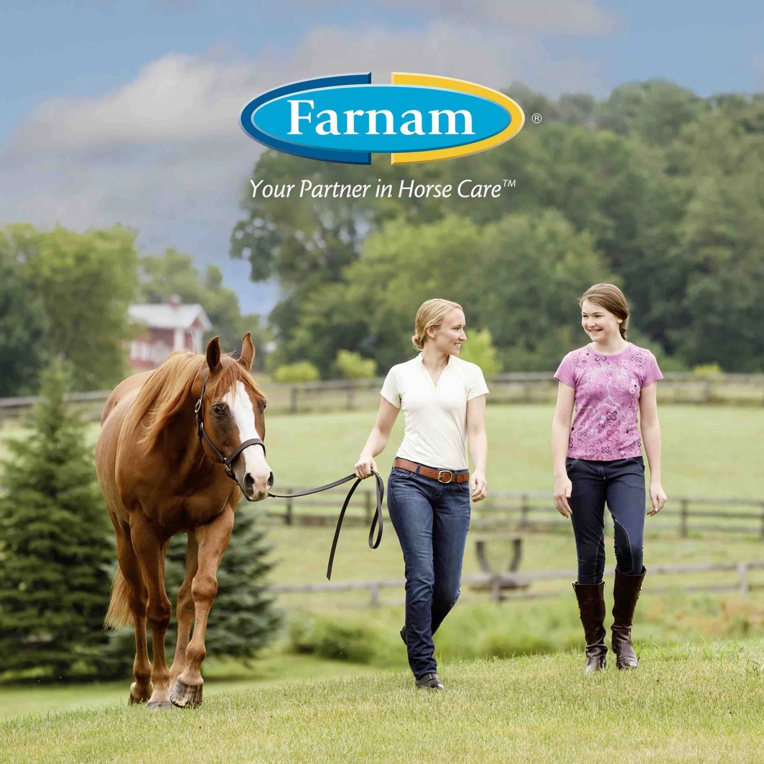 Farnam Rain Maker Horse Hoof Moisturizer - Image 8
