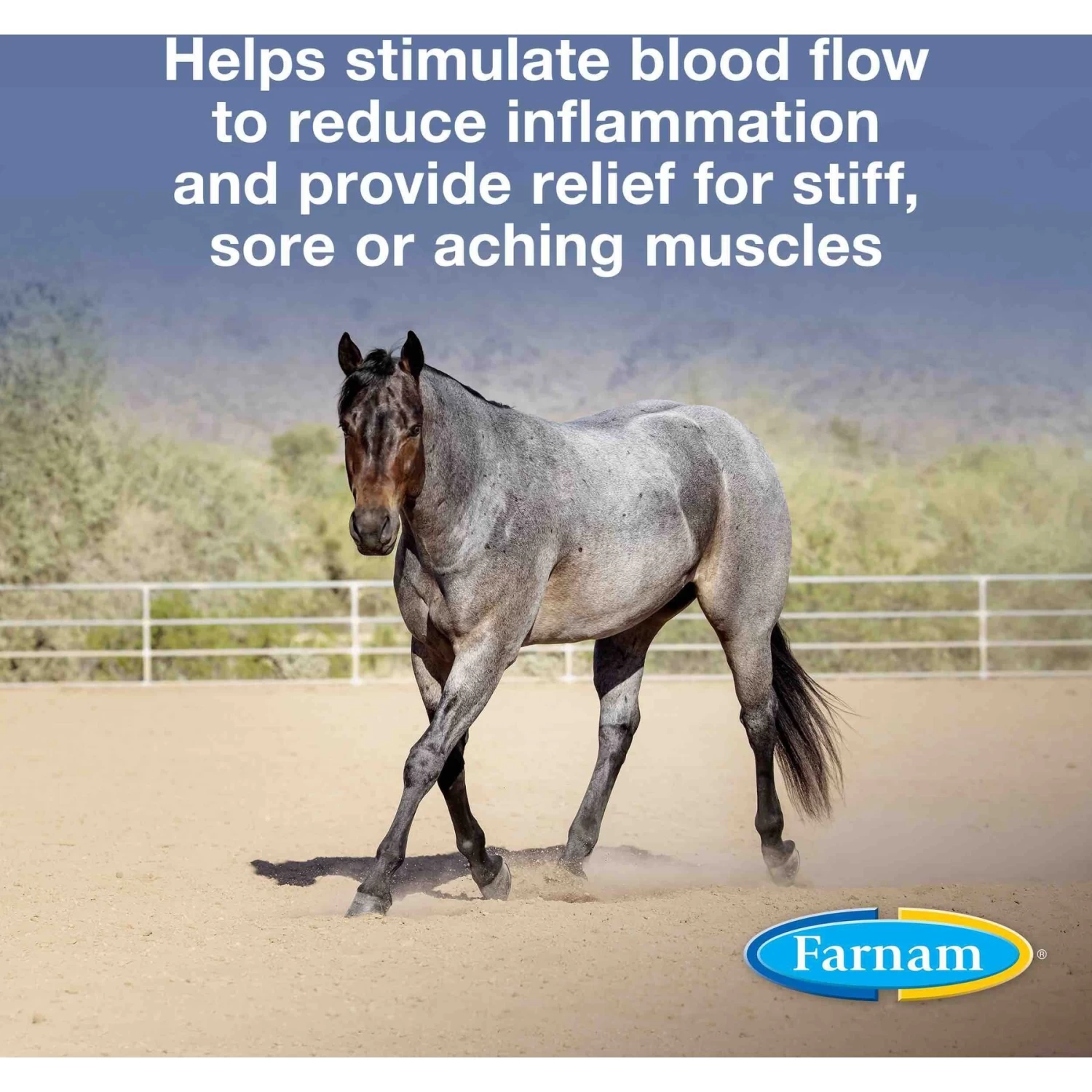 Farnam Vetrolin Sore Muscle & Joint Pain Relief Horse Liniment Concentrate - Image 2