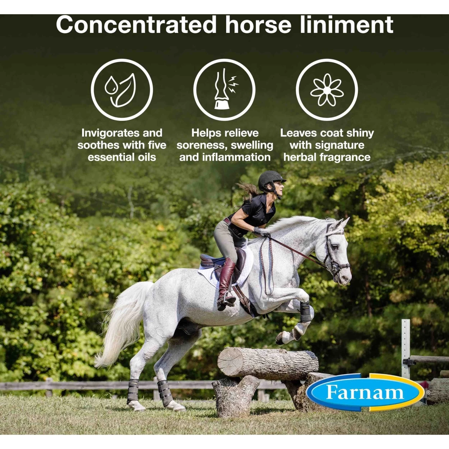 Farnam Vetrolin Sore Muscle & Joint Pain Relief Horse Liniment Concentrate - Image 3