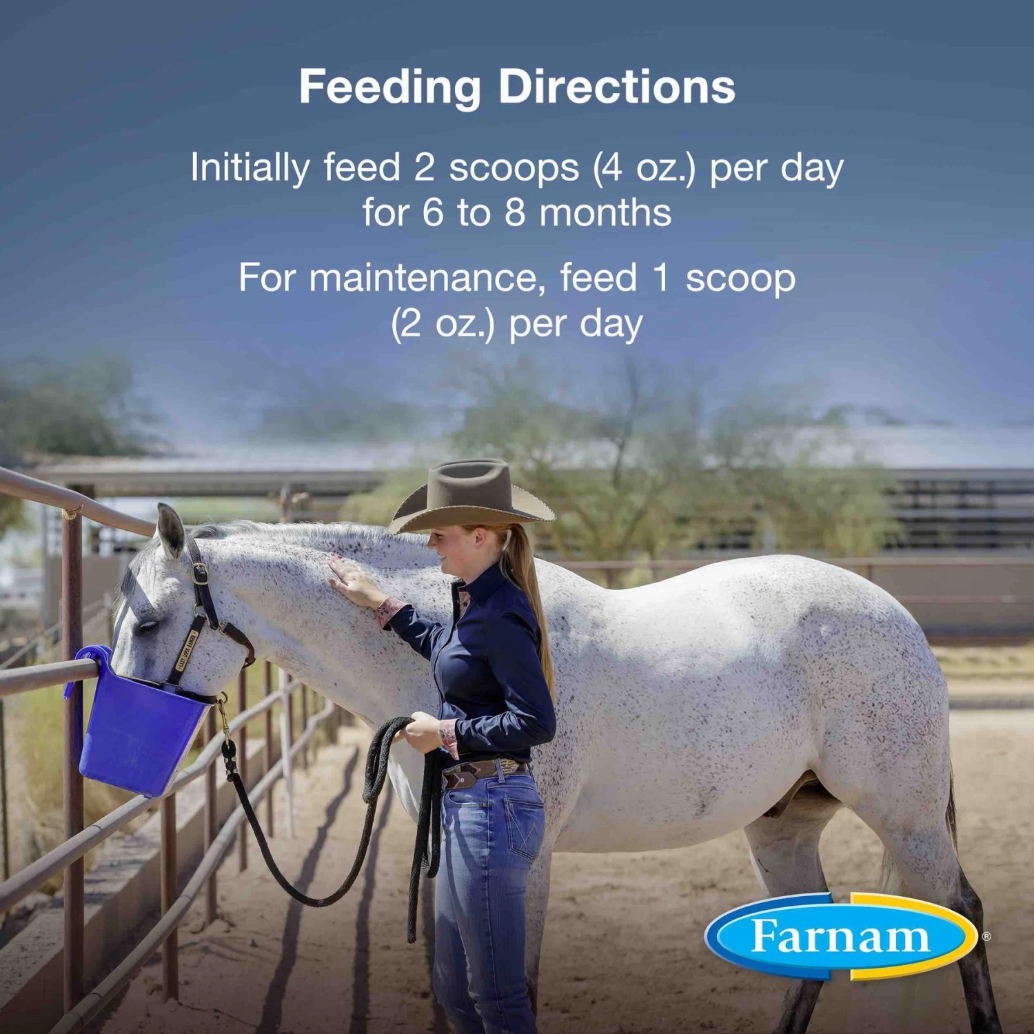 Farnam Horseshoer's Secret Extra Strength Hay Flavor Pellets Horse Supplement - Image 4