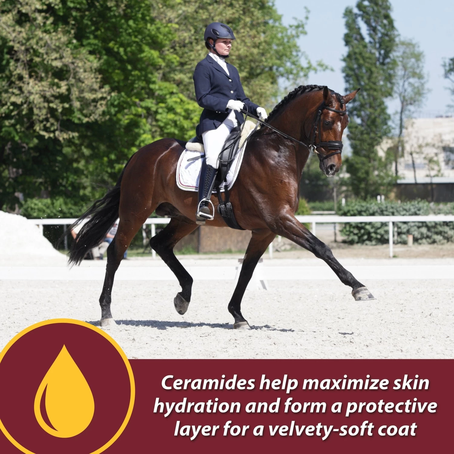 Farnam Laser Sheen Skin & Coat Horse Supplement - Image 4