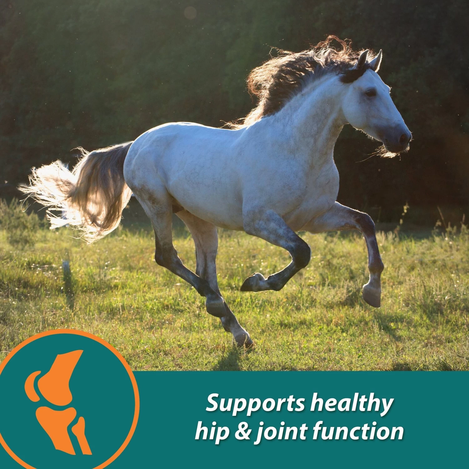 Farnam Next Level Performance Butter Flavor Pellets Horse Supplement - Image 2