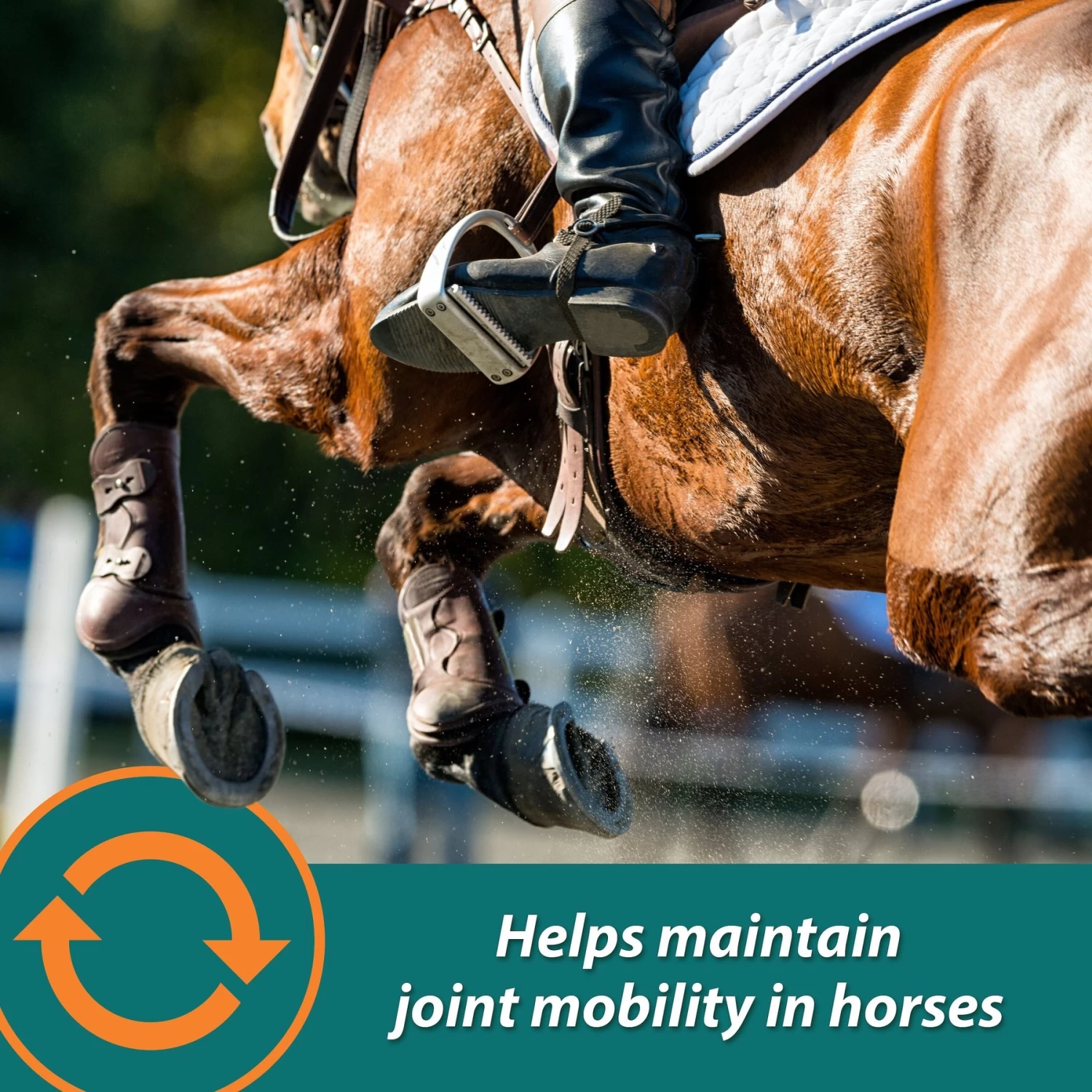 Farnam Next Level Performance Butter Flavor Pellets Horse Supplement - Image 3