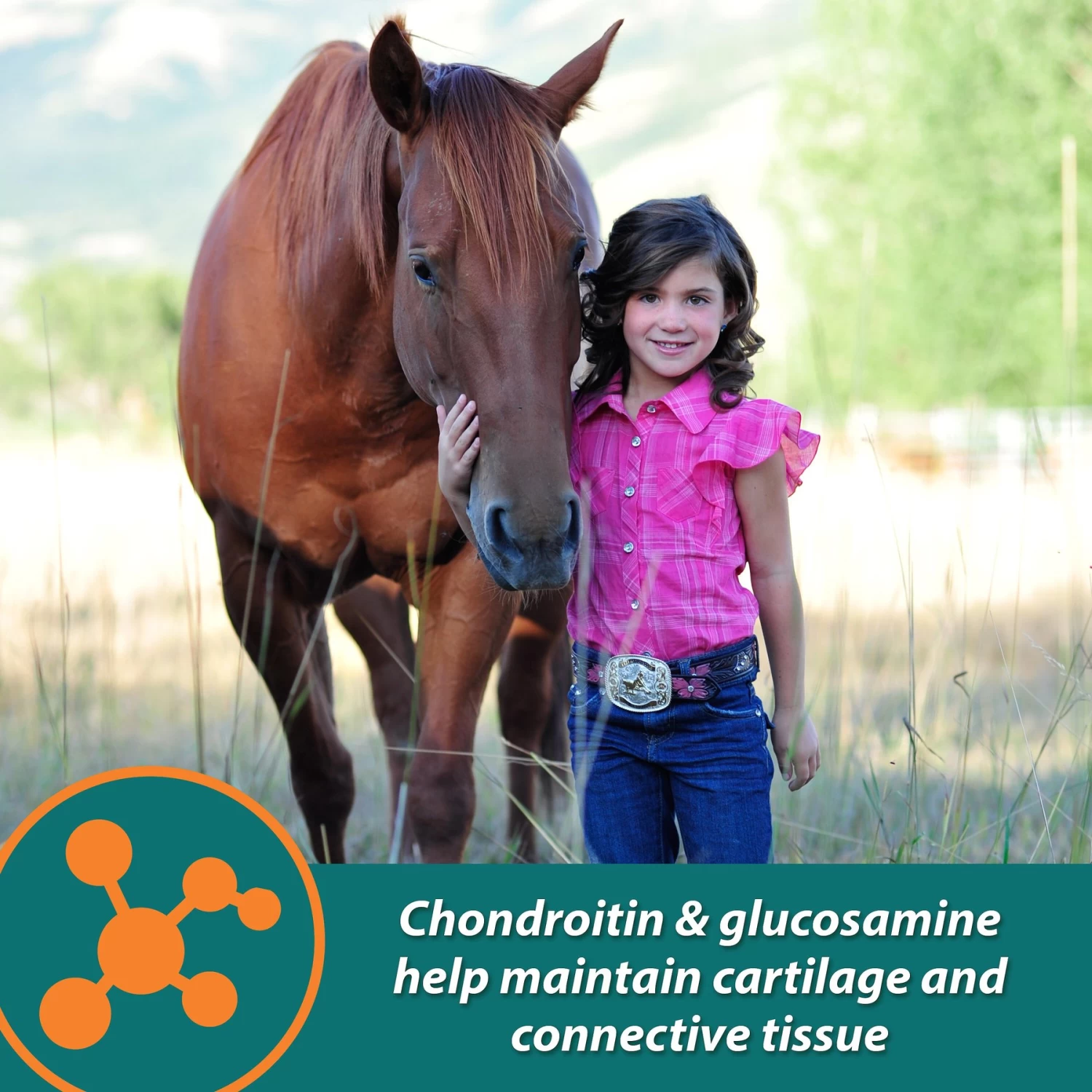 Farnam Next Level Performance Butter Flavor Pellets Horse Supplement - Image 5