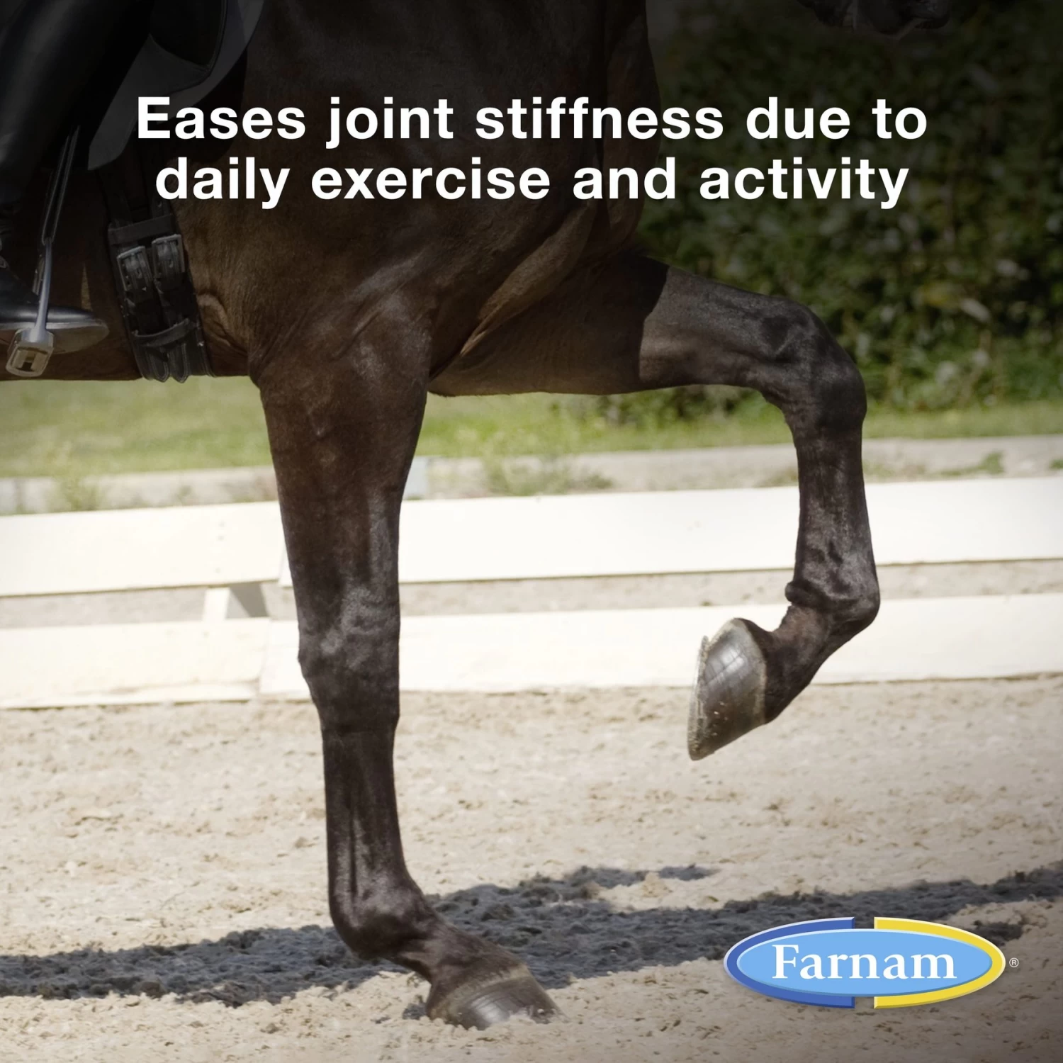 Farnam Next Level Joint Fluid Supplement, Supports Healthy Hip & Joint Function For Horses & Dogs - Image 2