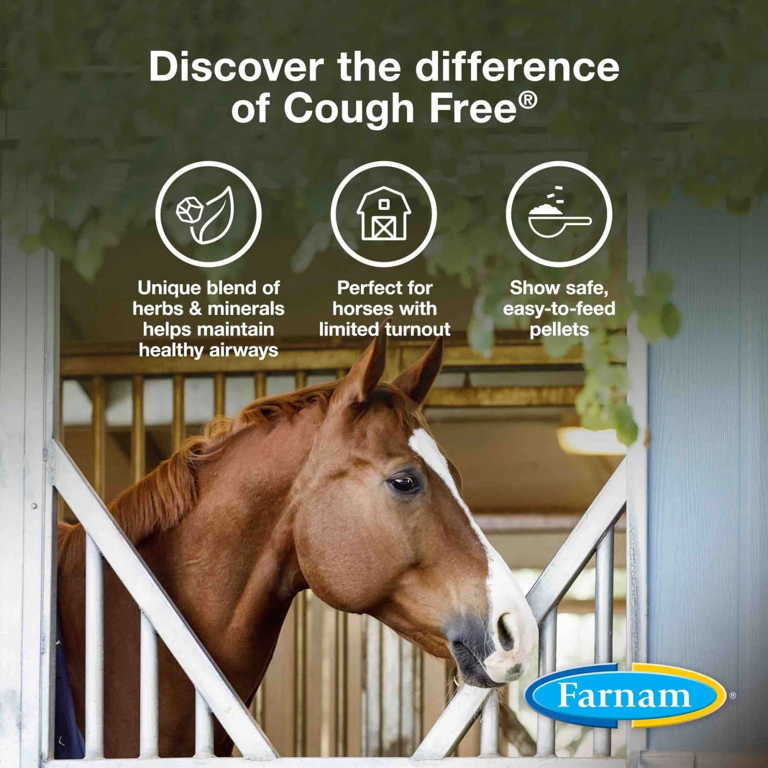 Farnam Cough Free Equine Respiratory Health Pellets Horse Supplement - Image 3