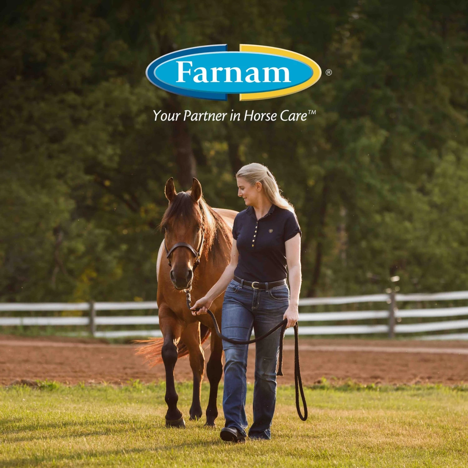 Farnam Cough Free Equine Respiratory Health Pellets Horse Supplement - Image 8