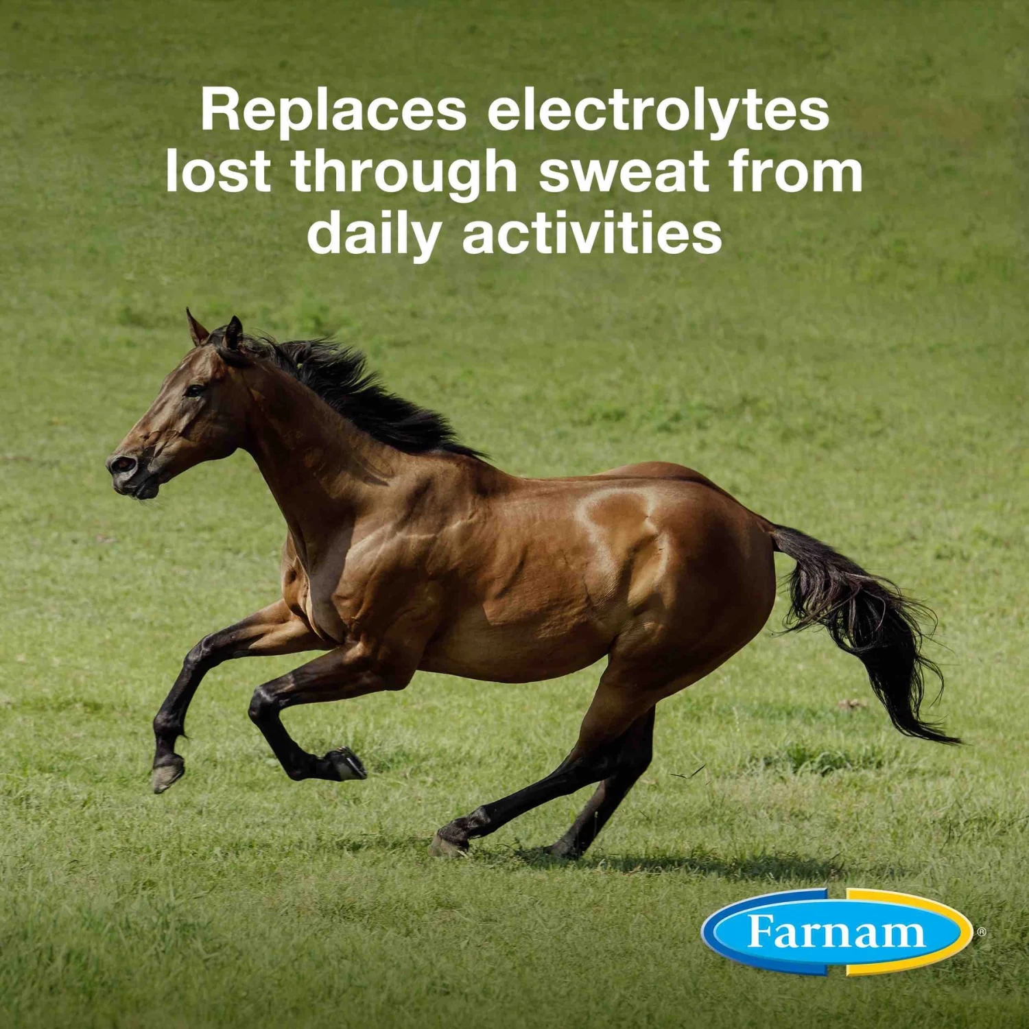 Farnam Apple Elite Electrolyte Granules Apple Flavor Horse Supplement, 20-lb Tub - Image 2