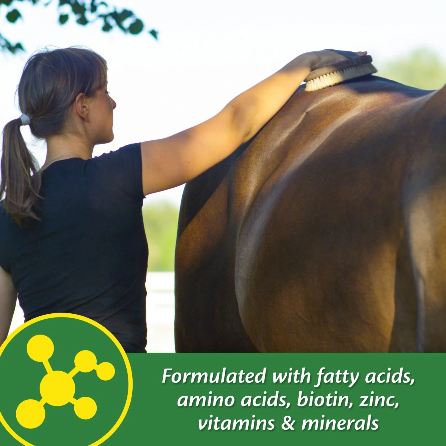 Farnam Super 14 Healthy Skin & Coat Granules Horse Supplement - Image 6