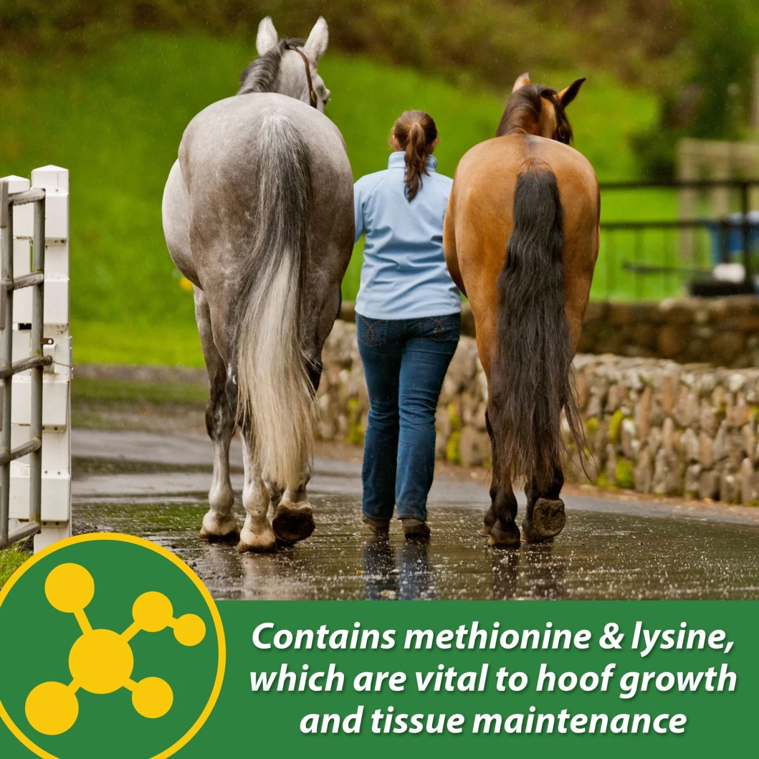 Farnam HB 15 Horse Hoof Supplement, 3-lb Bag - Image 6